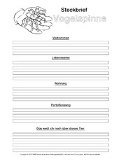 Vogelspinne-Steckbriefvorlage-sw.pdf